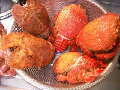 09-04-BIMI-Kani-05.JPG