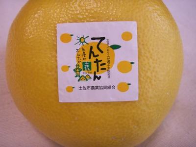 09-04-SKR-06.JPG