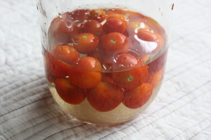 2010-07-30-Tomato_1939.JPG