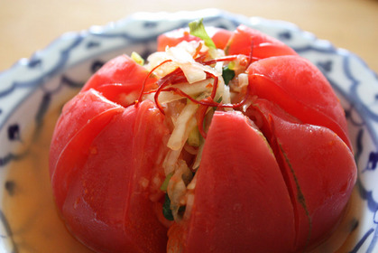 2010-08-11-Tomato1_1932.JPG