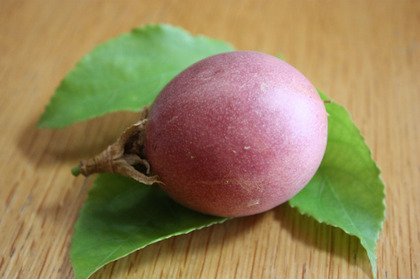 2010-09-26-P3_2118.JPG