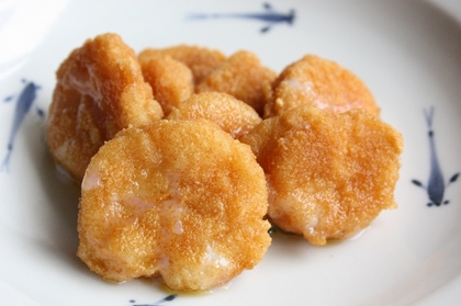 2010-03-KakiPi_1260.JPG