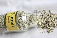 210-05-fennel_1641.JPG