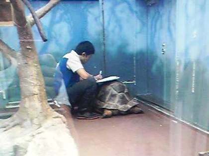 2011-10-31-bukuro_160440.jpg