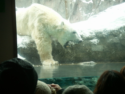 2011-11-22_HB2.JPG