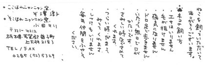 2013-02-28-Kyoto_KokohoreSokohore.jpg