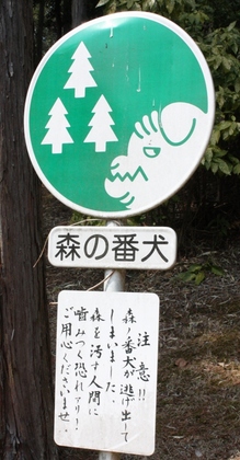 2013-03-10-kasama_5405.JPG