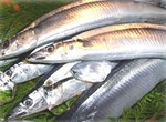 10秋刀魚のマリネ02.jpg